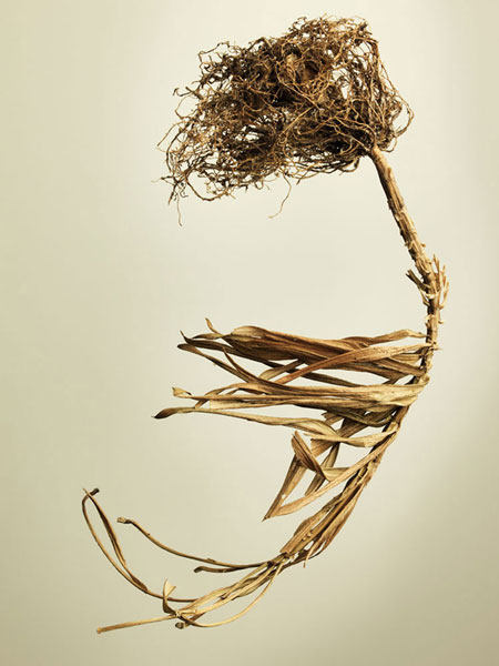 Joan Easton Photography Series - Bulb & Root Systems: Lily